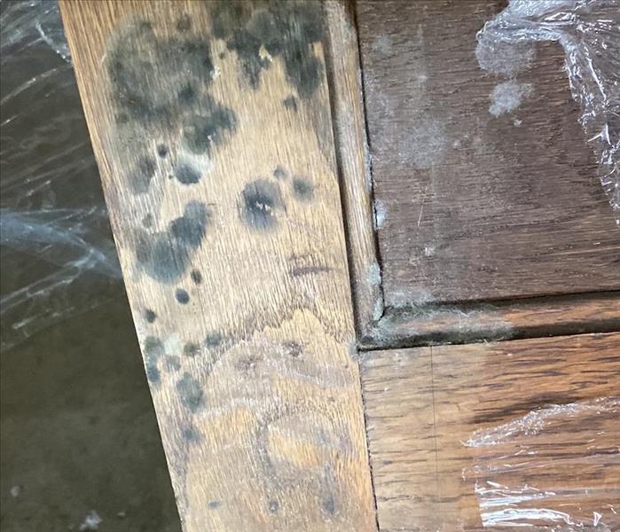 mold on office cabinets