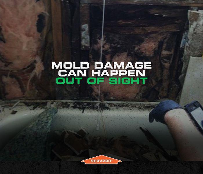 mold can happen out of sight