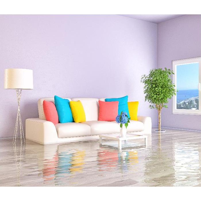 flooding in property